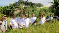 Produktivitas Panen Kota Bandung Tembus 8 Ton per Hektar