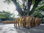 OPD 1