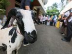 SAPI 1