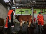 SAPI 2