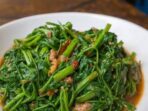 KANGKUNG 1 KANGKUNG 1