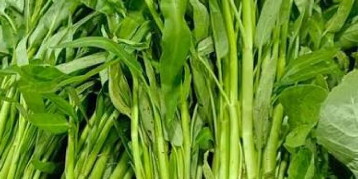 KANGKUNG 2