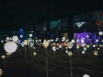 tam 3