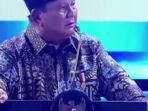 bowo 2